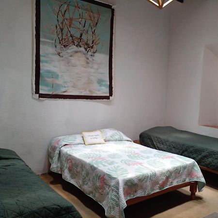 Casa Aldama 83 호텔 산미겔데아옌데 외부 사진